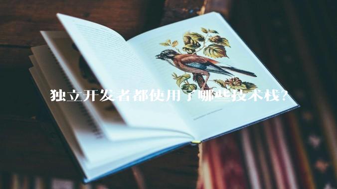 独立开发者都使用了哪些技术栈？