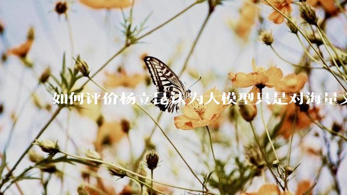 如何评价杨立昆认为大模型只是对海量文本的模式进行复杂拟合，根本不懂意义？