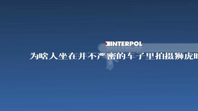 为啥人坐在并不严密的车子里拍摄狮虎时，这些猛兽却很少攻击人？